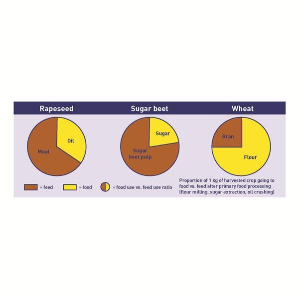 Food use vs. feed use ratio